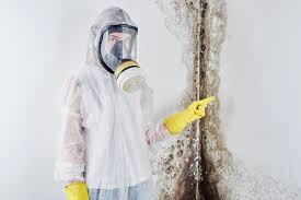 Why You Should Choose Our Mold Remediation Services in Centerville, UT